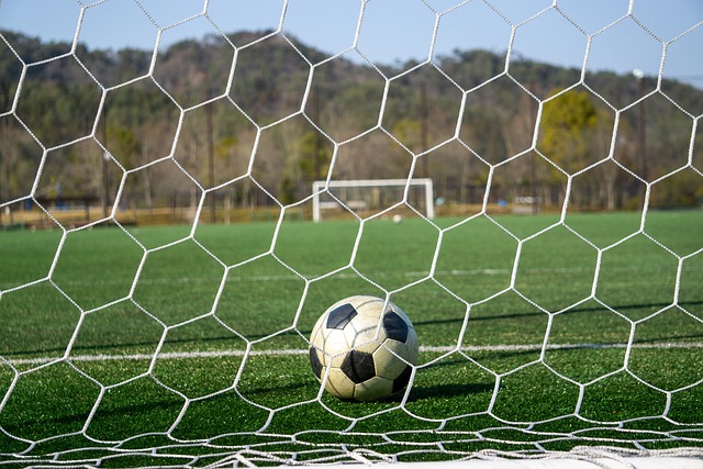 但因比亚迪 但因比亚迪