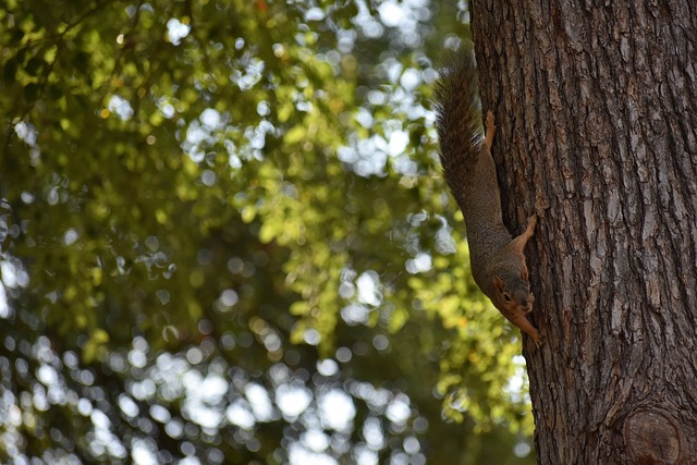 夢絕非遙遠 夢絕非遙遠