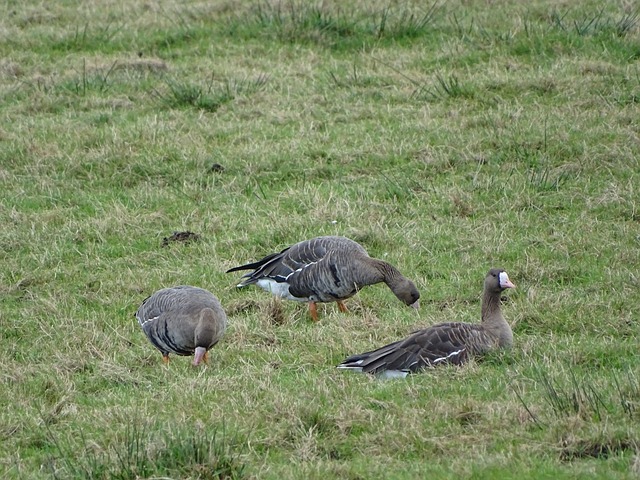 考慮更多 考慮更多
