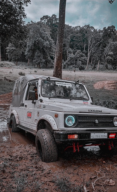 再次引发了 再次引发了