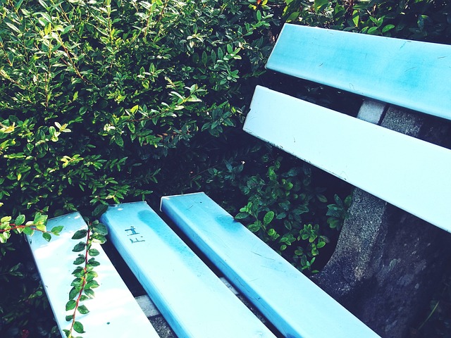 无疑是中国 无疑是中国