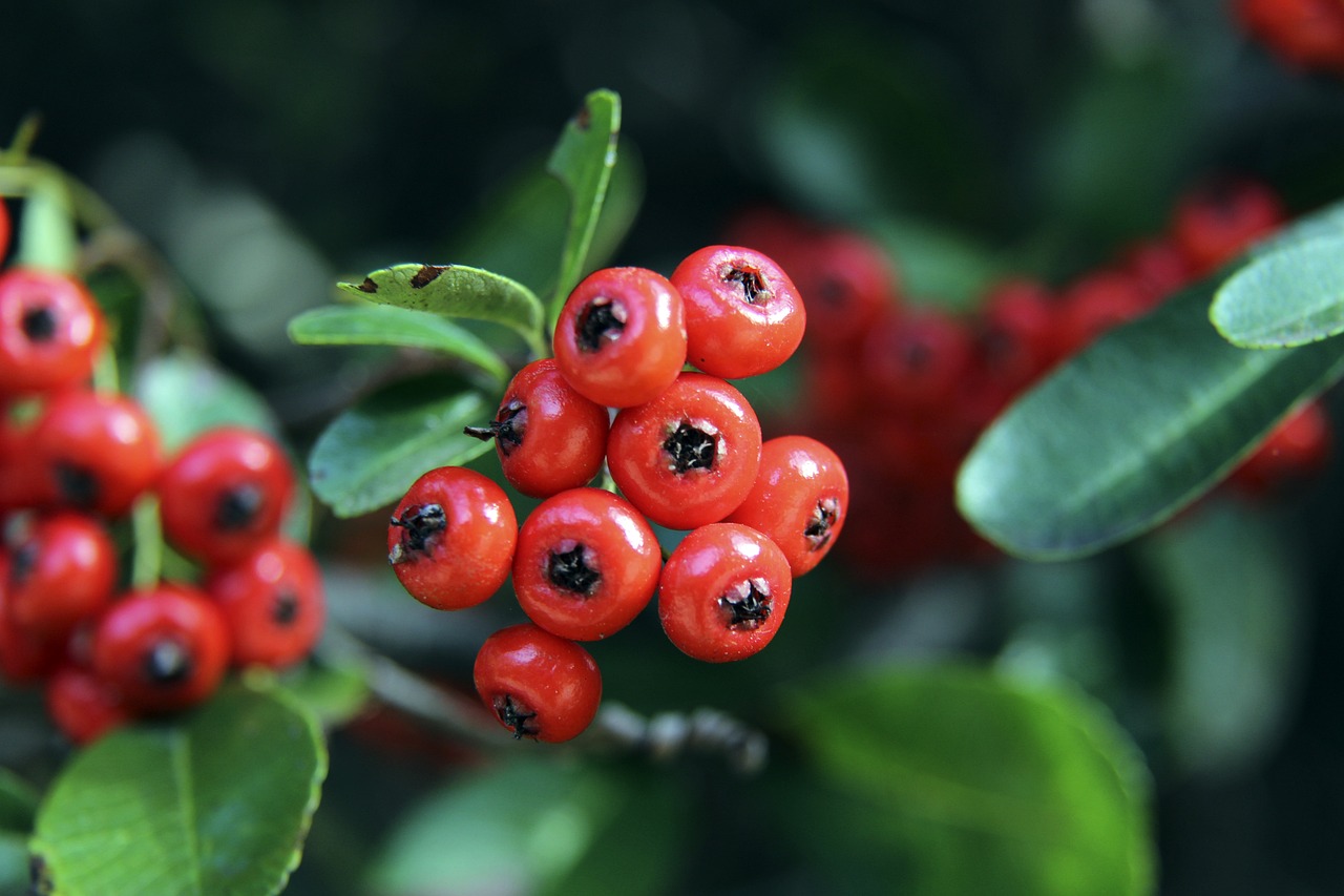 让每一任教 让每一任教