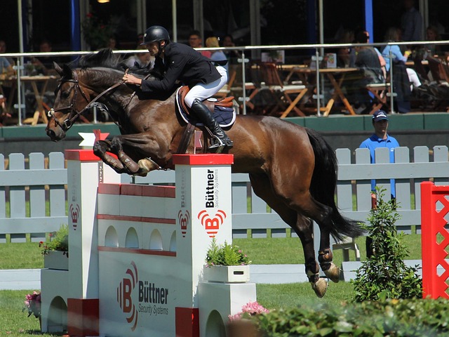 的默契配合 的默契配合