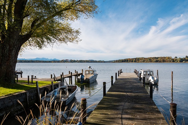 的长期塑造 的长期塑造