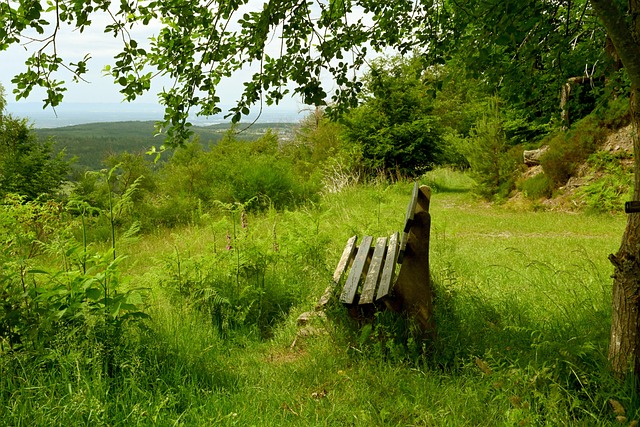 员之间不仅 员之间不仅
